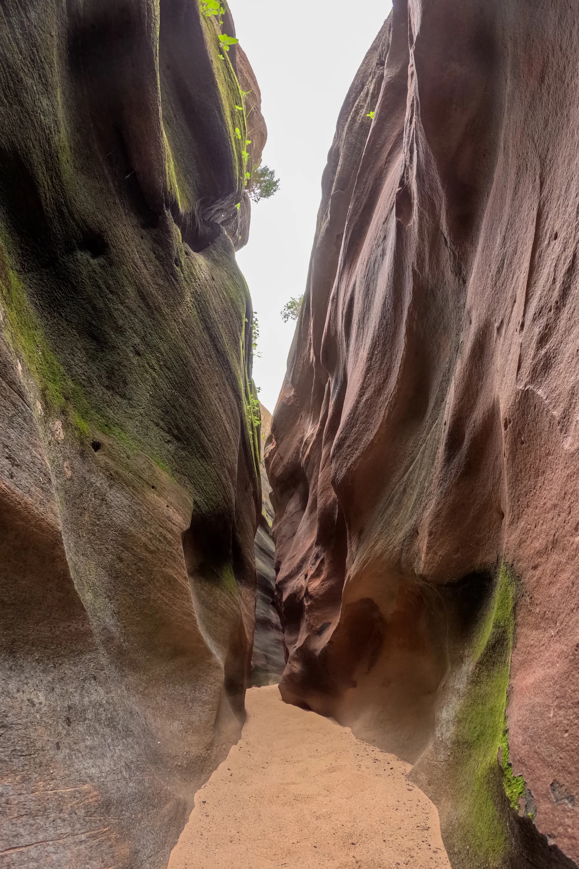 Kadiya Dhro slot canyon in Kutch — dramatic rock gorge looking up